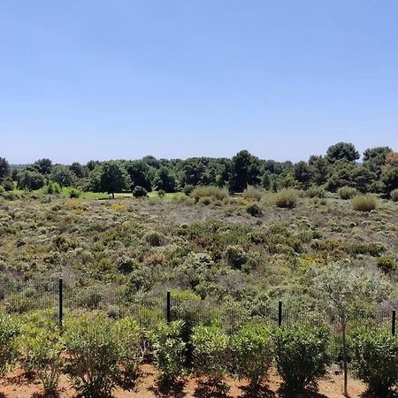 Appartement Golf Saint Thomas - Belle Residence Beziers Luaran gambar