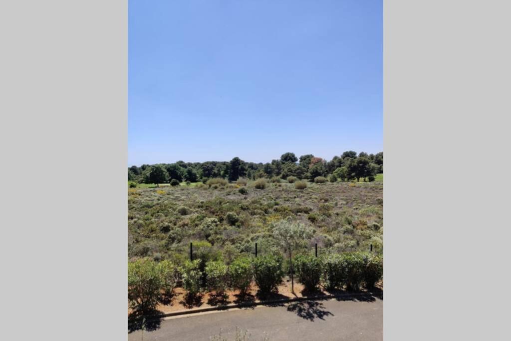Appartement Golf Saint Thomas - Belle Residence Beziers Luaran gambar